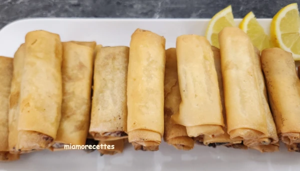 Spring Rolls croustillants au thon