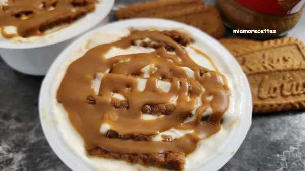 Cheesecake japonais au yaourt